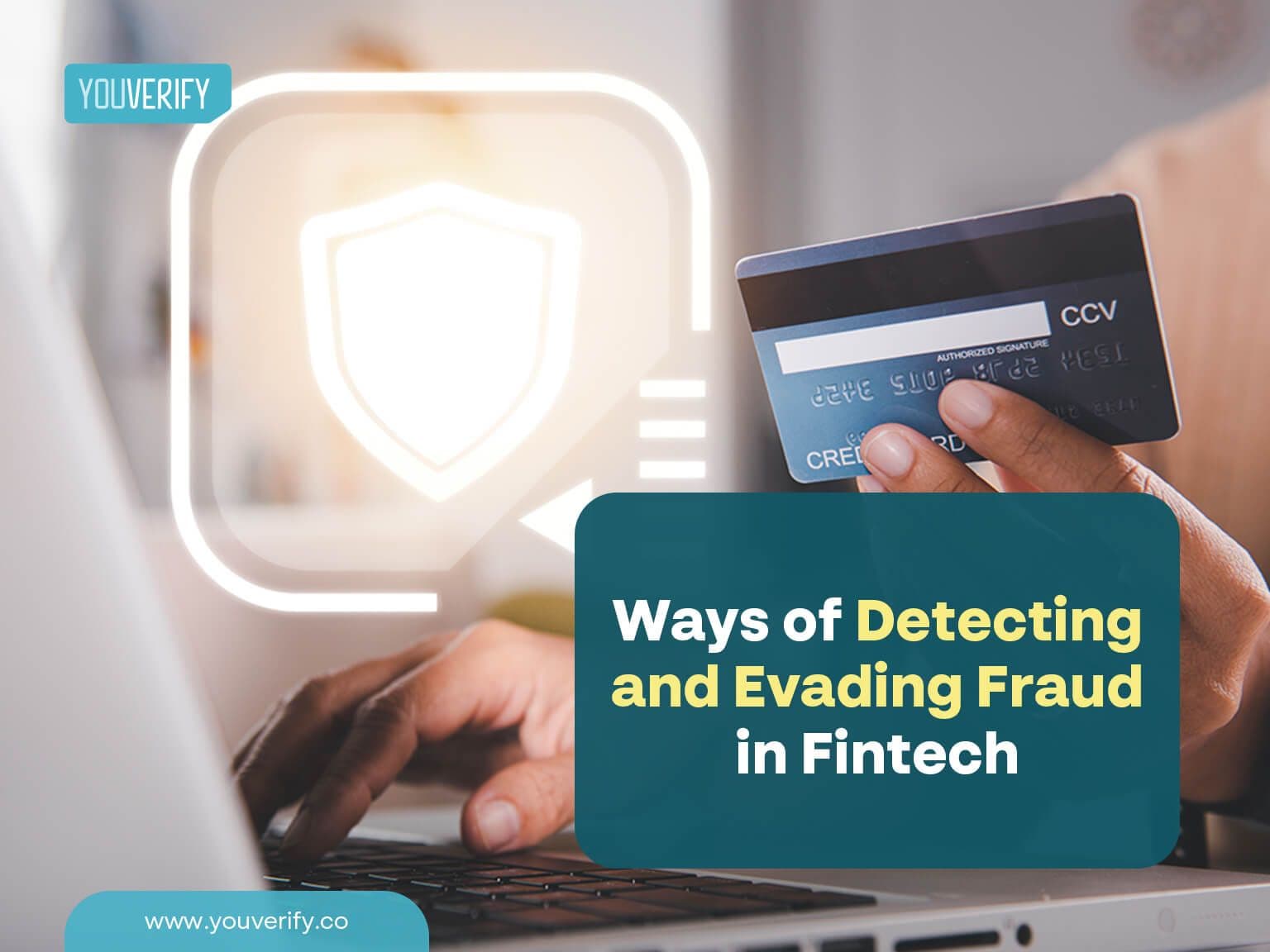 Ways of Detecting and Preventing Fraud in Fintech