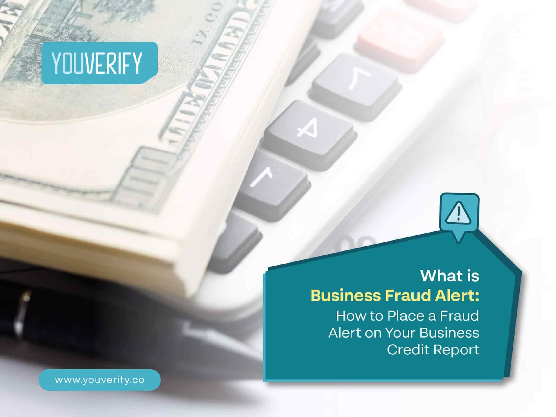What is a Business Fraud Alert?