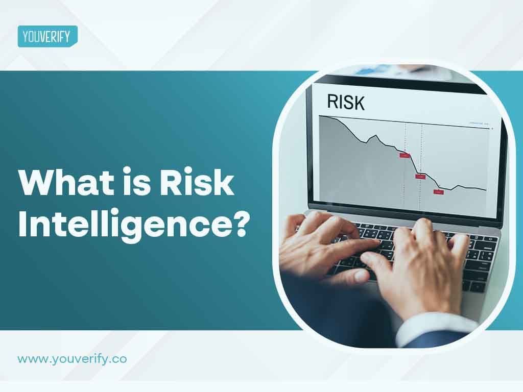 What Is Risk Intelligence?