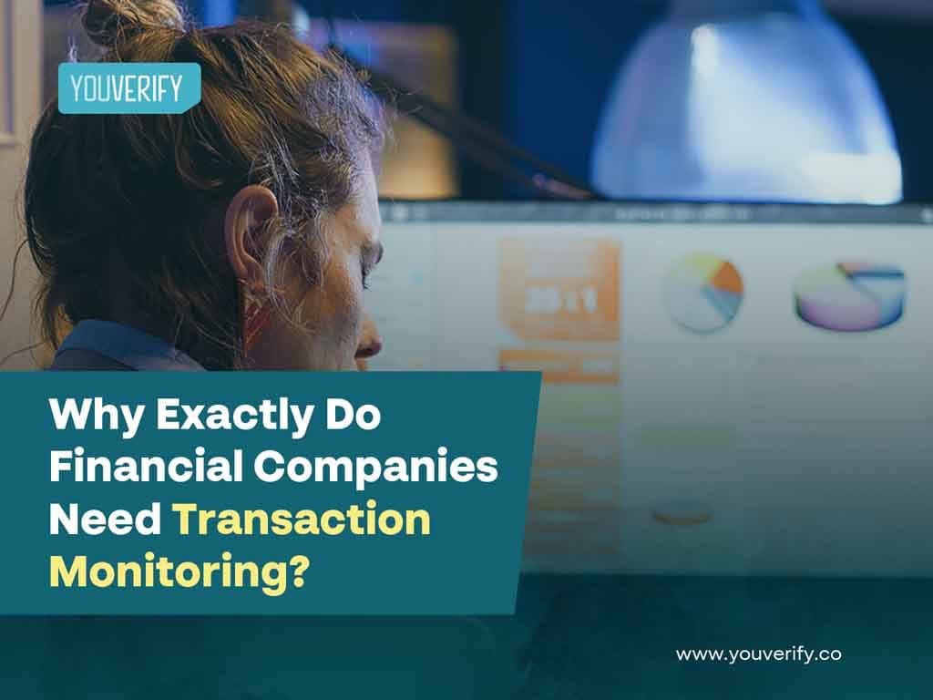 Why Exactly Do Financial Companies Need Transaction Monitoring?