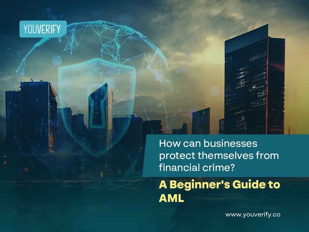 How Can Businesses Protect Themselves From Financial Crime? A Beginner's Guide to AML