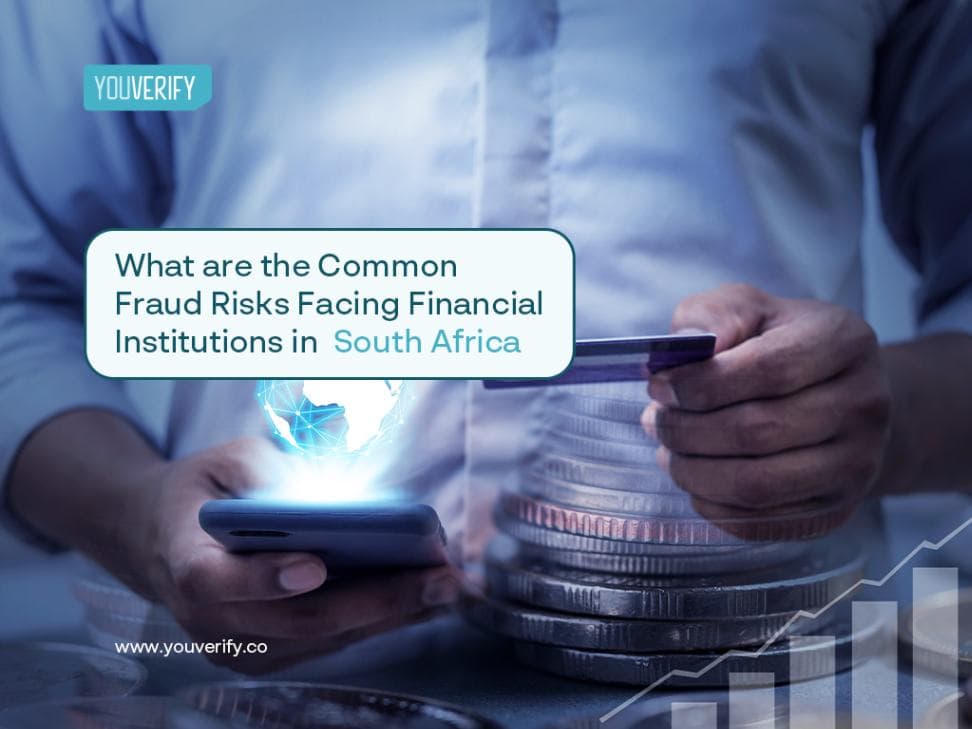 What are the Common Fraud Risks Facing Financial Institutions in South Africa