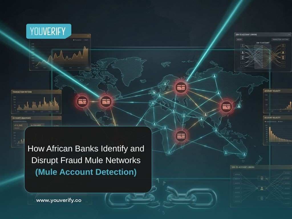 How African Banks Identify and Disrupt Fraud Mule Networks (Mule Account Detection)