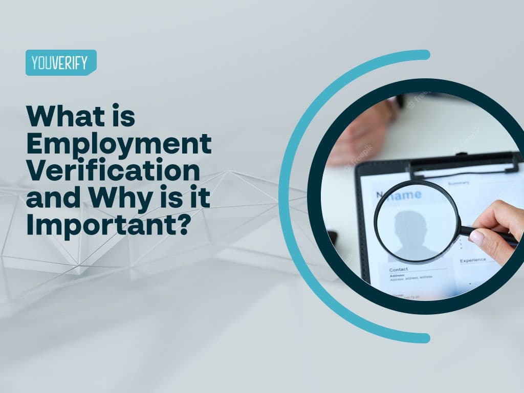 What Is Employment Verification?