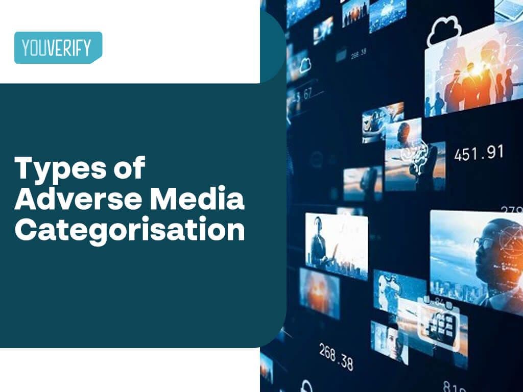 What are the Types of Adverse Media Categorisation?