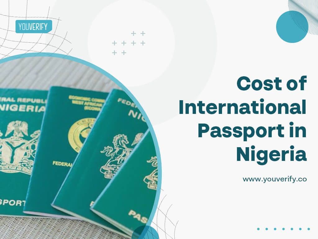 How Much is International Passport in Nigeria 2026? Current Fees for New & Renewal