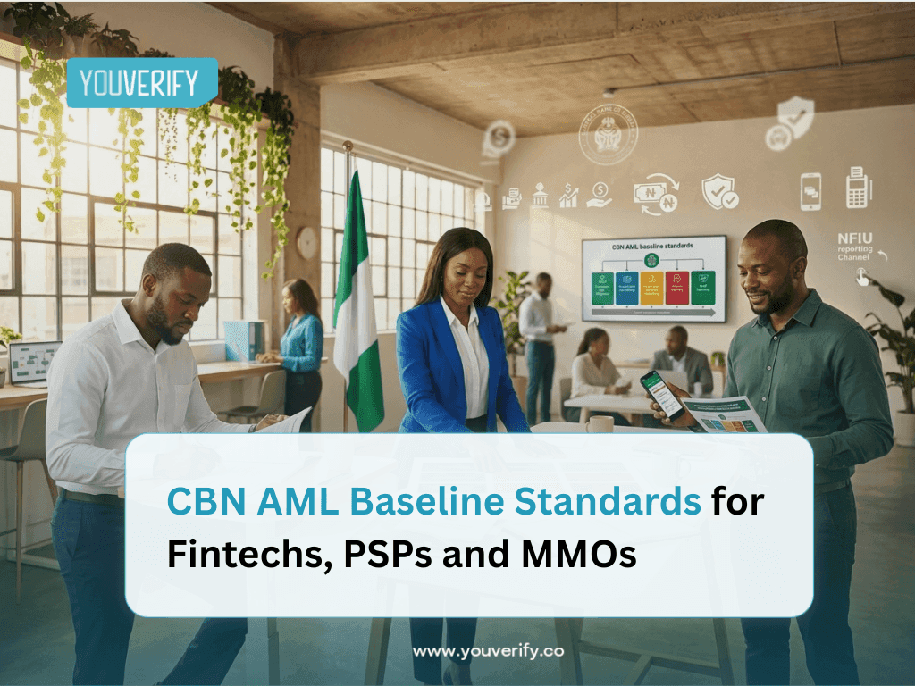 CBN AML Baseline Standards for Fintechs, PSPs and MMOs